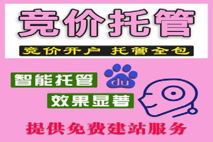 百度竞价托管运营团队案例分析